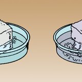 O açúcar dissolve-se mais facilmente em água morna do que em água fria