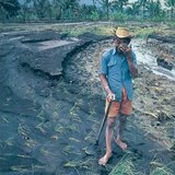 Soil devastated by monsoon