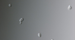 Fungo Candida (causa infecção vaginal)