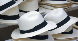 Chapéus