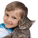 Abraçando um gato