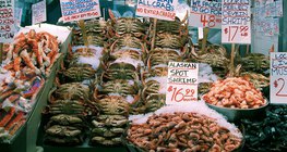 Frutos do mar é uma importante fonte de alimento