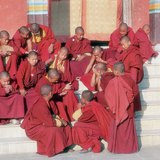 Monjes budistas tibetanos