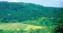 Campo para alimentação de animais silvestres