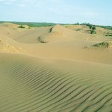 Colina de areia com ondas de vento