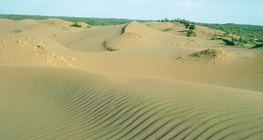 Colina de areia com ondas de vento