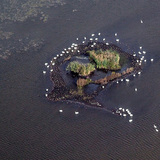 Sziget a Kis-Balatonban