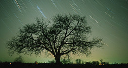 Rastros de estrellas