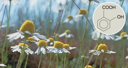 Los derivados del ácido salicílico tienen efectos curativos