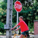 The bright colour of traffic signs serves as a warning