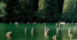 O Lago Vermelho na Transilvânia foi formado por um deslizamento de terras