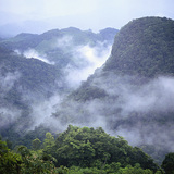 Selva Lacandona
