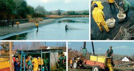 Actividades en una granja de estanques