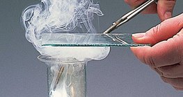 A reação do magnésio com o cloro