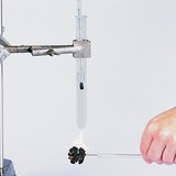 Análise da densidade de energia de uma noz