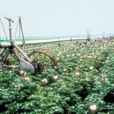 Automatic mobile irrigation equipment