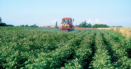 As planícies são as áreas mais importantes para a agricultura