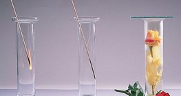 O oxigénio suporta a combustão, o nitrogénio não a suporta, o dióxido de cloro descolora