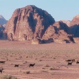 Uadi, un término árabe que significa cauce seco