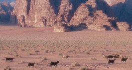 Uadi, un término árabe que significa cauce seco