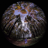 View of a full moon through a fish-eye lens