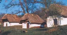 Edificios con techo de paja