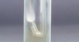 O hidrogénio continuará a "arder" no gás cloro