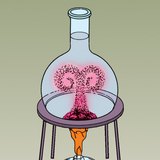 Demonstrating convective heat transfer with colored water