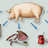 Mi készül a házi sertésből?