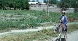 Área semi-árida no Turan