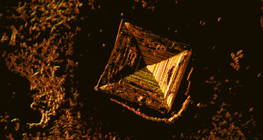 Cristais de sal de mesa