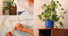 Fazendo uma estrutura de apoio de flores a partir de espetos