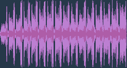 Maçarico-de-cauda-preta