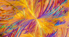 Cristais de aminofilina (medicamento)