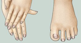 Mãos e pés adequadamente arrumados