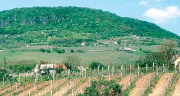 Cultivar paralelamente ao declive aumenta a erosão do solo