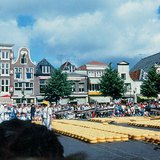 Mercado de queso en Alkmaar