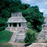 Selva tropical con las ruinas de una antigua cultura