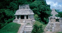 Floresta tropical com ruínas