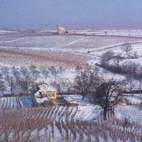Winter landscape