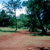 Laterita, el suelo típico de la zona ecuatorial