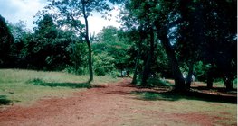 Laterita, o solo típico do Cinturão Equatorial