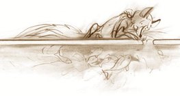 Os animais aquáticos sobrevivem na água "mais quente" sob a superfície do gelo