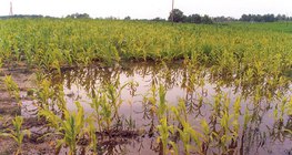 Inundación interior