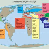 A haszonnövények őshazája