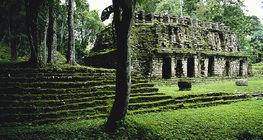 Ruinas mayas