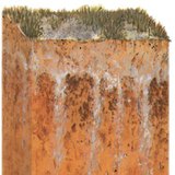 Saline soil profile