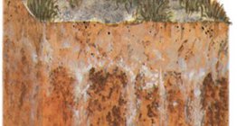 Perfil do solo salino