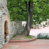 Szent Margit sírja Szent Margit sírja