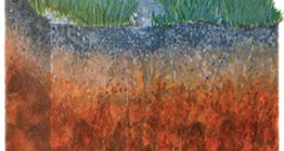 Solo da floresta marrom